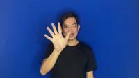 version1-fslhanddetection project thumbnail