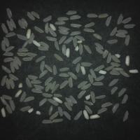 rice-grading-normal project thumbnail