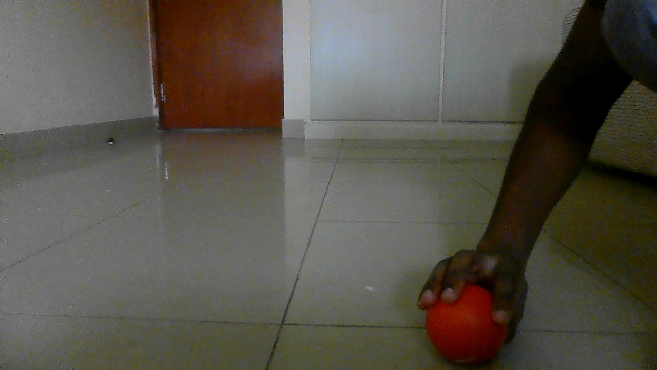 red ball detection Object Detection Dataset by Object detection and ...