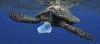 marine plastic project thumbnail