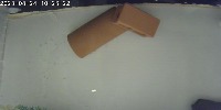 Fishes and their food project thumbnail