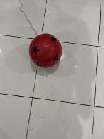 Ball Warna project thumbnail