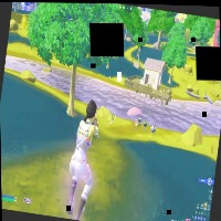 Dataset Image