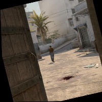 Dataset Image