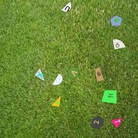 Dataset Image