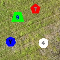 Dataset Image