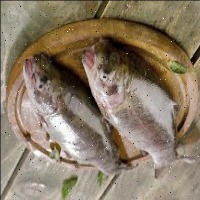 Fish Detection project thumbnail