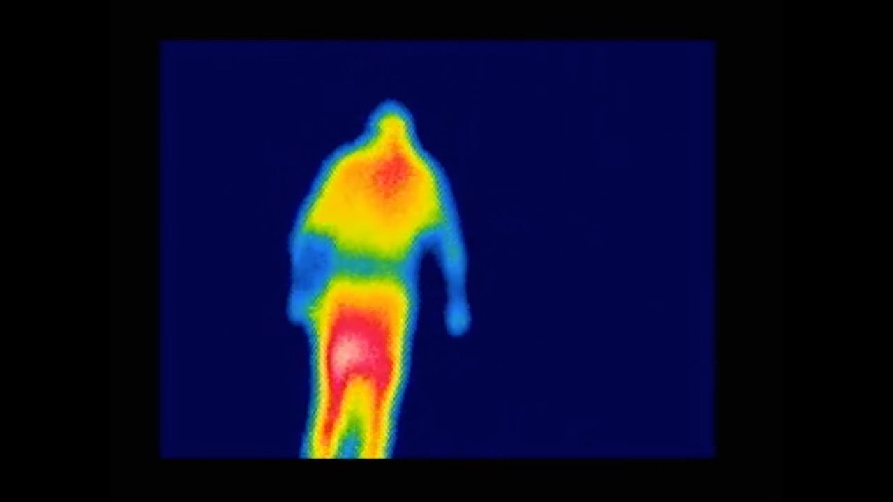 Human Detection In IR Images Object Detection Dataset by CVtest