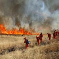 wildfire1 project thumbnail