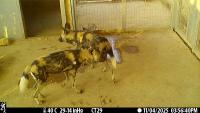 huddling_detection project thumbnail