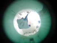 adhesion target project thumbnail