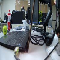 Dataset Image