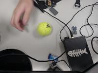 Dataset Image