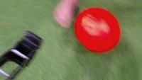 AdultSize Ball project thumbnail