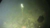 underwater project thumbnail