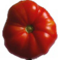 dataset project thumbnail