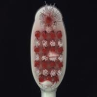 Tooth Brush Defective project thumbnail