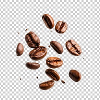 Typeof_coffee_beans project thumbnail