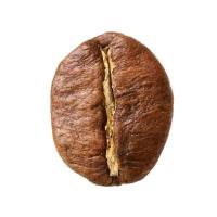 Coffee_Beans project thumbnail