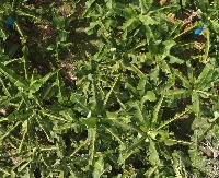 agrispray project thumbnail