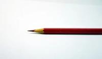 pen project thumbnail