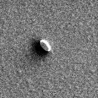 DETECTION project thumbnail