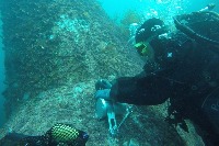 Underwater object detection project thumbnail