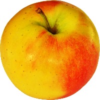 apple Object Detection Model by Charotar University of Science and ...