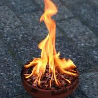 firecones project thumbnail