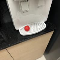 red ball detector Object Detection Model by MachineVision2025