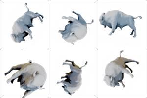 Test Object Detection Model by Amine Slimene
