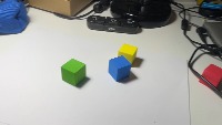 Dataset Image