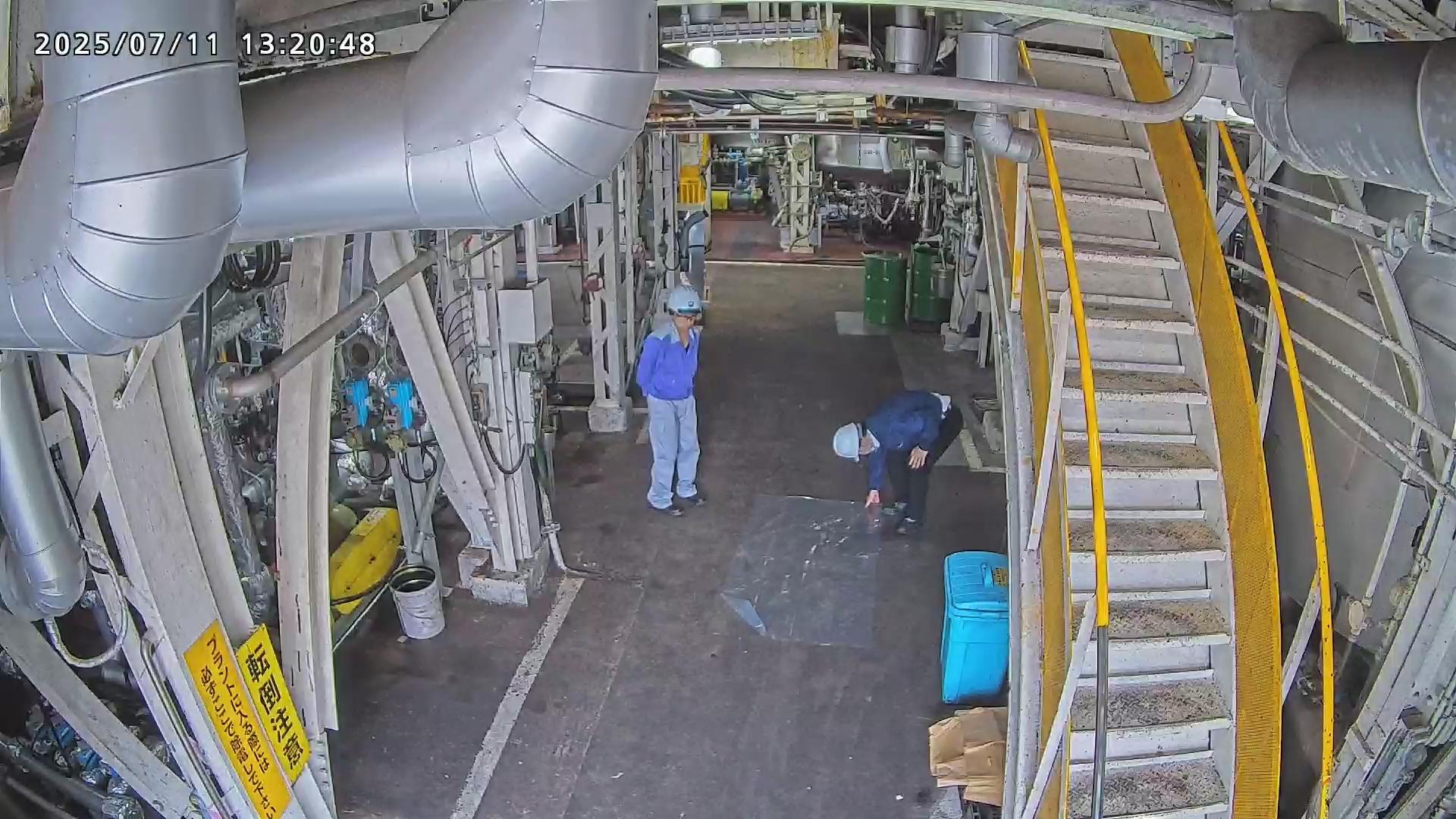 Pose Keypoint Detection Dataset by Meta Vision DuongNT