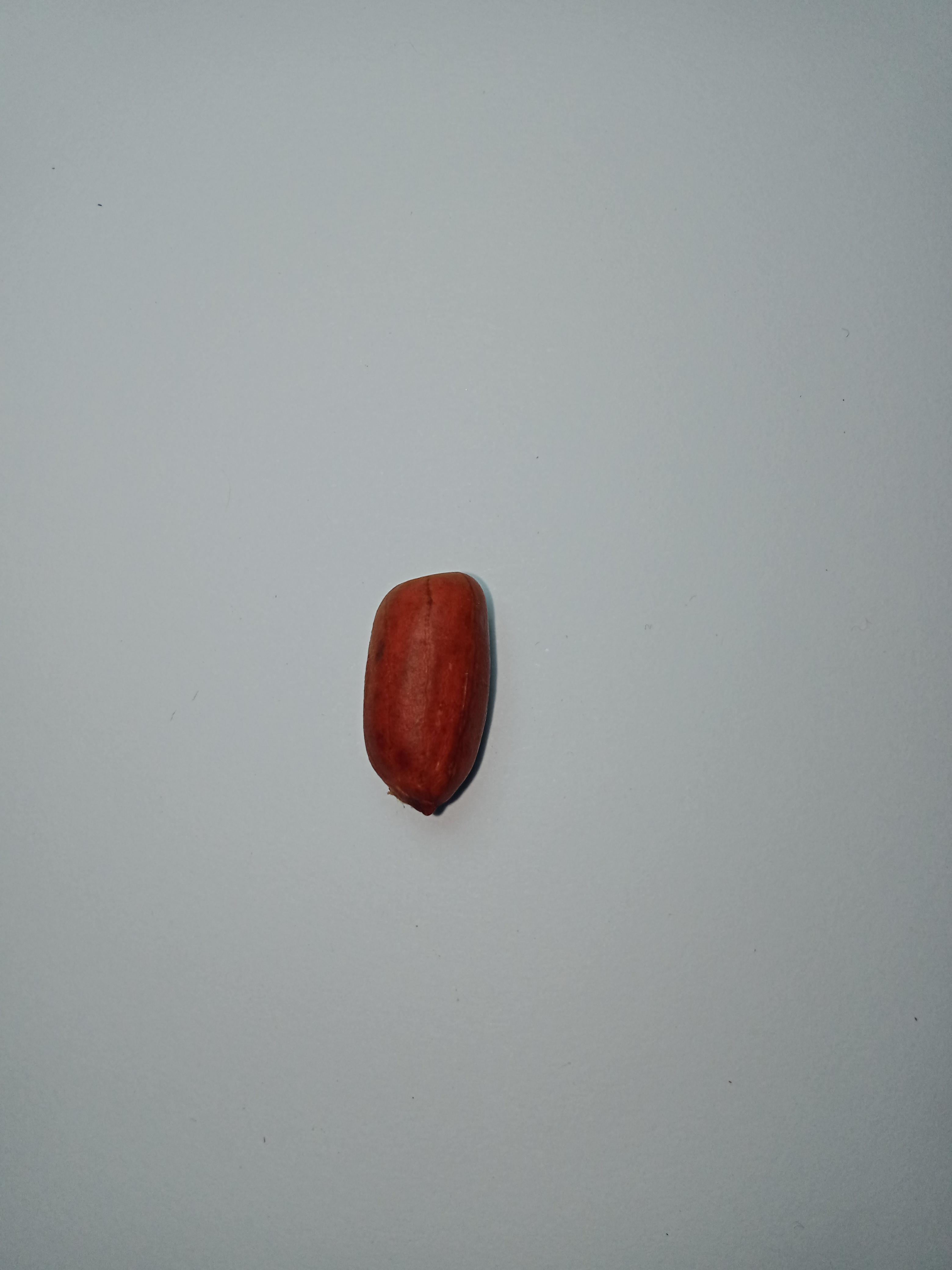 Peanut moldy and not moldy Object Detection Dataset by house