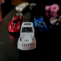 Dataset Image