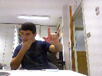Dataset Image