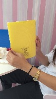 Dataset Image