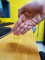 Dataset Image