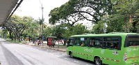 Buses MIO project thumbnail
