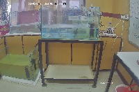 detection project thumbnail