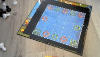 ducks-in-a-row-board-detection-v2 project thumbnail