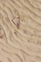 dry-sand-detection project thumbnail