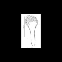 Pharynx project thumbnail