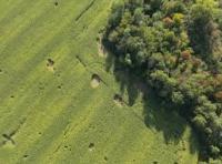 AgriDroneDataset project thumbnail