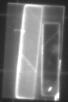 Sample Classification project thumbnail