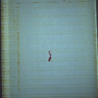 contaminante project thumbnail