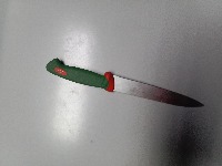 Dataset Image