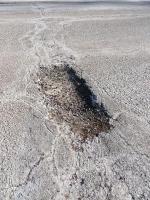 Path hole detection project thumbnail