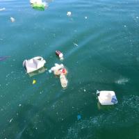 AIProjetTeam1 project thumbnail