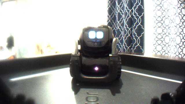 Anki Vector Robot Dataset Object Detection Dataset Anki Vector Robot Dataset Object Detection Dataset